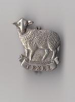 Texel Schaap broche, Verzamelen, Speldjes, Pins en Buttons, Gebruikt, Niet vindbaar, Niet vindbaar, Speldje of Pin