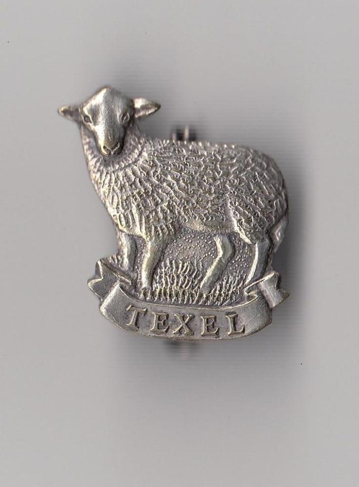 Texel Schaap broche, Verzamelen, Speldjes, Pins en Buttons, Gebruikt, Speldje of Pin, Overige onderwerpen, Ophalen of Verzenden