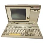 IBM PS/2 Model P70, Ophalen of Verzenden, IBM