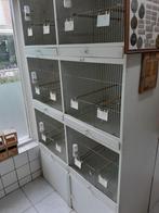 Gratis vogelkooi, Dieren en Toebehoren, Vogels | Hokken en Kooien, Ophalen, Vogelkooi