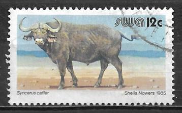 Zuid West Afrika Namibie 1985 Aanvull wrde kafferbuffel rund beschikbaar voor biedingen