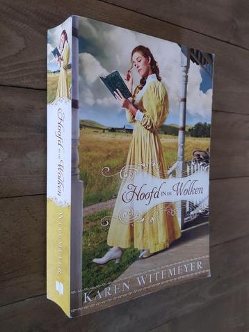 Hoofd in de wolken - Karen Witemeyer (christelijke roman) beschikbaar voor biedingen