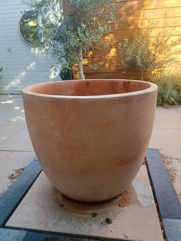 Terracotta planten pot  beschikbaar voor biedingen