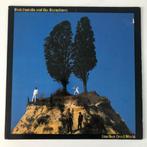 Elvis Costello - Goodbye Cruel World, Cd's en Dvd's, Vinyl | Rock, Ophalen of Verzenden, Gebruikt, 12 inch, Poprock