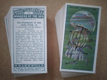 Wonders of the Sea complete set 50 cigarette cards 1928 beschikbaar voor biedingen