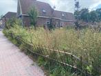 Gronings hekwerk., Ophalen, Gebruikt, IJzer