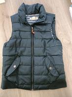 Zgan donkerblauwe bodywarmer, H&M, Kleding | Dames, Bodywarmers, Blauw, H&M, Ophalen of Verzenden, Zo goed als nieuw