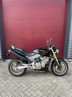 Honda CB 600 F Hornet, Motoren, Motoren | Honda, Bedrijf, Meer dan 35 kW, Toermotor, 600 cc