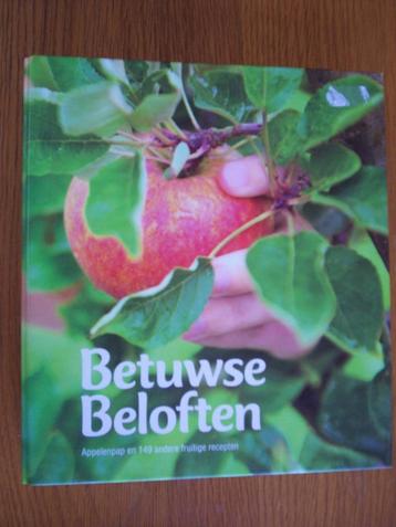 BETUWSE BELOFTEN GERECHTEN BOEK beschikbaar voor biedingen
