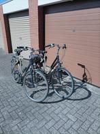 Koga Miyata heren en damesfiets, Ophalen, Versnellingen, Koga Miyata, 53 tot 56 cm
