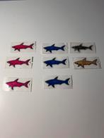 Paul Shark Sticker, Nieuw, Ophalen of Verzenden