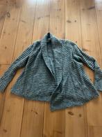 Leuk grijs/goud oversized vest Dtlm, L, Kleding | Dames, Truien en Vesten, Dtlm, Verzenden, Maat 42/44 (L), Grijs