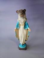 Taxidermy heilige Rat, Ophalen of Verzenden, Nieuw, Wild dier, Opgezet dier