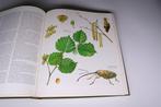 Nederlandse Oecologische Flora — 4 Delen — Rijk geïllustreer, Boeken, Natuur, Ophalen of Verzenden, Gelezen, Bloemen, Planten en Bomen