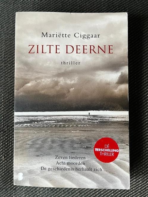 Mariëtte Ciggaar - Zilte deerne., Boeken, Thrillers, Zo goed als nieuw, Ophalen of Verzenden