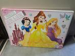 Prinsessen canvas, Ophalen of Verzenden, Zo goed als nieuw