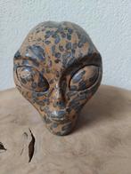 Koraal fosiel steen alien / skull traveler, Verzamelen, Mineralen en Fossielen, Ophalen of Verzenden, Mineraal