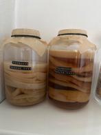 Kombucha Scoby, Ophalen