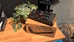 Moog Labyrinth, Muziek en Instrumenten, Synthesizers, Overige merken, Zo goed als nieuw, Met midi-aansluiting, Overige aantallen