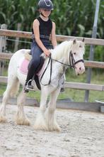 MEGA MEGA BRAVE TINKER PONY, Ruin, Zadelmak, A pony (tot 1.17m), 3 tot 6 jaar