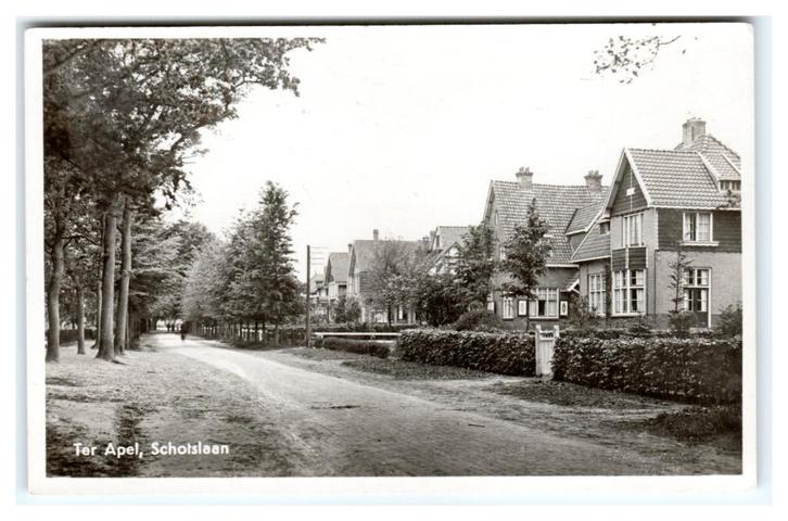 Ter Apel, Schotslaan, Verzamelen, Ansichtkaarten | Nederland, Gelopen, Groningen, 1940 tot 1960, Ophalen of Verzenden