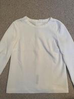 Witte top van vanilia maat xs, Kleding | Dames, Ophalen of Verzenden, Zo goed als nieuw, Maat 34 (XS) of kleiner, Korte mouw