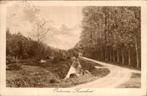 Oostvoorne, Kraanhout, Ophalen of Verzenden, Voor 1920, Gelopen, Zuid-Holland