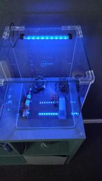 Denerle nanocube 30L aquarium, Ophalen, Zo goed als nieuw, Leeg aquarium