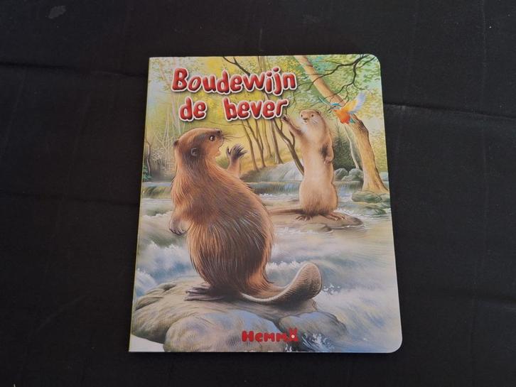 Boudewijn De Bever Kinderboek, Boeken, Kinderboeken | Baby's en Peuters, Zo goed als nieuw, 2 tot 3 jaar, Uitklap-, Voel- of Ontdekboek