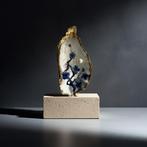 Handbeschilderde oester, Huis en Inrichting, Minder dan 50 cm, Nieuw, Ophalen of Verzenden, Minder dan 50 cm