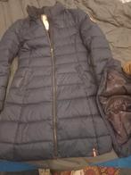 Tommy Hilfiger Winterjas Dames Blauw Maat M, Maat 38/40 (M), Blauw, Ophalen of Verzenden, Gedragen