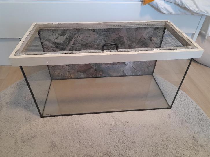 Muis/ knaagdier klein terrarium, Dieren en Toebehoren, Knaagdieren en Konijnen | Hokken en Kooien, Gebruikt, Kooi, Minder dan 60 cm