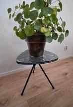 Vintage bijzet/plantentafel driepoot jaren '50/'60, 45 tot 60 cm, Minder dan 55 cm, Gebruikt, Ophalen of Verzenden