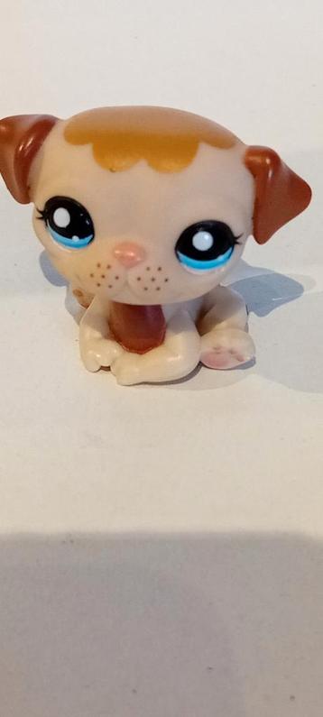 Schattige LPS Hond - Littlest Pet Shop beschikbaar voor biedingen