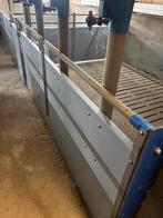 Opfok hokken [751], Boekhorst Trading, Info@boekhorsttrading.com, Singel 16, Horssen, Opfok