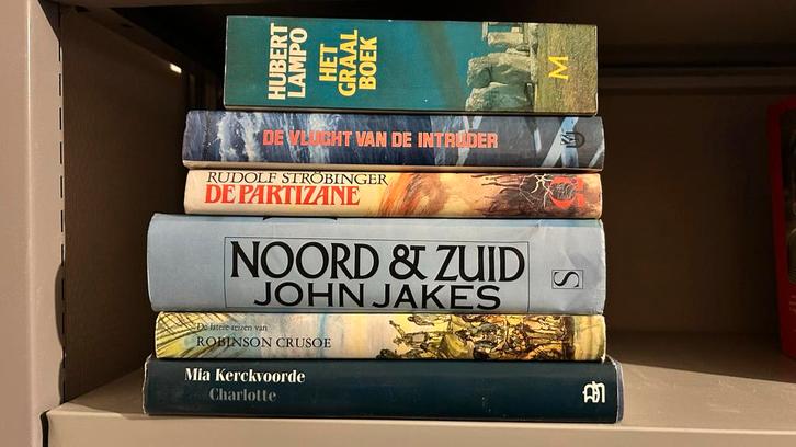 Boekenstapel Diverse Auteurs, Boeken, Romans, Gelezen, Nederland, Ophalen of Verzenden