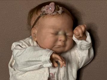 Reborn orla beschikbaar voor biedingen