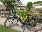 Gazelle zwarte dames transport/ omafiets, Fietsen en Brommers, Fietsen | Dames | Omafietsen, Ophalen, 53 tot 56 cm, Versnellingen