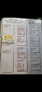 Postduif kweek doffer Rechtstreeks Peter janssen doffer, Dieren en Toebehoren, Vogels | Duiven