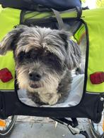 ZGAN Hond Wandel~ Fiets trolley, Dieren en Toebehoren, Honden-accessoires, Ophalen of Verzenden, Zo goed als nieuw