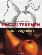 Pasteltekenen voor beginners - Francisco Asensio Cerver, Ophalen of Verzenden, Zo goed als nieuw, Tekenen en Schilderen