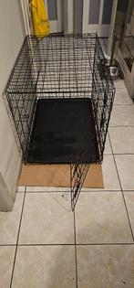 Hondenbecnh, Dieren en Toebehoren, Ophalen, Gebruikt