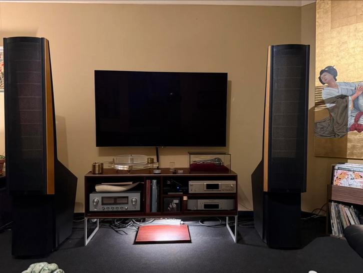 Martin Logan Odyssey elektrostatische luidsprekers, Audio, Tv en Foto, Luidsprekers, Ophalen