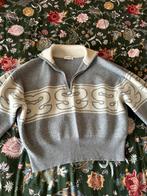 Trui sandro maat  3, Kleding | Dames, Ophalen of Verzenden, Zo goed als nieuw