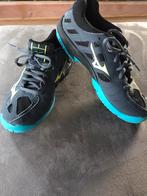Mizuno zaalschoen, maat 35 zgan, Ophalen of Verzenden, Zo goed als nieuw, Schoenen