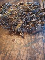 shabby kransje.is oud, Ophalen of Verzenden