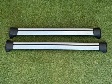 Thule Dakdrager Tesla Model S + Montagekit beschikbaar voor biedingen