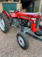 Massey Ferguson 30, 1955, met kenteken., Ophalen, Oldtimer, Tot 80 Pk, Massey Ferguson