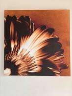 Bloem Print op Canvas, Huis en Inrichting, Woonaccessoires | Schilderijen, Tekeningen en Foto's, Ophalen, 50 tot 75 cm, 50 tot 75 cm