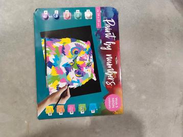 Paint by Numbers - Uil - Nieuw in verpakking beschikbaar voor biedingen